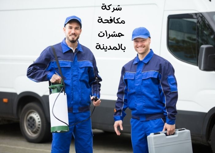 مكافحة حشرات بالمدينة